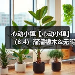 心动小镇【心动小镇】(8.4)溜溜橡木&无暇萤石(图3) 心动小镇【心动小镇】(8.4)溜溜橡木&无暇萤石(图3)