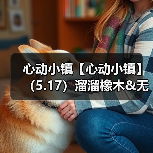 心动小镇【心动小镇】(5.17)溜溜橡木&无暇萤石(图4) 心动小镇【心动小镇】(5.17)溜溜橡木&无暇萤石(图4)