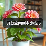 开放空间副本小技巧(图3) 开放空间副本小技巧(图3)