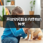 开放空间副本内怪物的种类(图1) 开放空间副本内怪物的种类(图1)