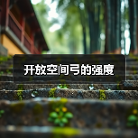 开放空间弓的强度(图2) 开放空间弓的强度(图2)