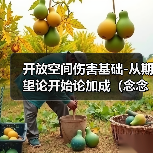 开放空间伤害基础-从期望论开始论加成（念念叨叨系）（图3）