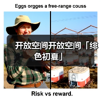 开放空间开放空间「绯色初夏」（图4）