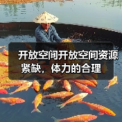 开放空间开放空间资源紧缺，体力的合理（图4）