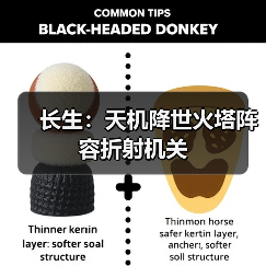 长生：天机降世火塔阵容折射机关（图2）
