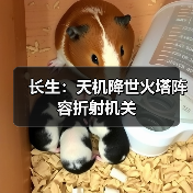 长生：天机降世火塔阵容折射机关