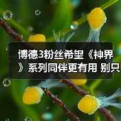 博德3粉丝希望《神界》系列同伴更有用 别只当陪衬！（图1）