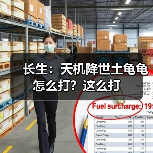 长生：天机降世土龟龟怎么打？这么打（图4）