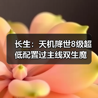 长生：天机降世8级超低配置过主线双生魔（图3）