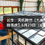长生：天机降世【九幽粉毛虎】6月29日（威能+神威+免3耗）