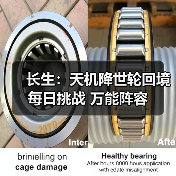 长生：天机降世轮回境 每日挑战 万能阵容（图3）