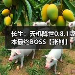 长生：天机降世0.8.1版本最终BOSS【张钊】毒队打法（图3）