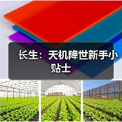 长生：天机降世新手小贴士（图2）