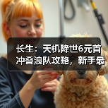 长生：天机降世6元首冲叠浪队攻略，新手最佳，求加精（图2）
