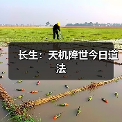 长生：天机降世今日道法
