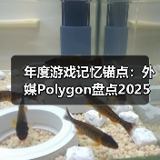 年度游戏记忆锚点:外媒Polygon盘点2025最佳Boss战(图3) 年度游戏记忆锚点:外媒Polygon盘点2025最佳Boss战(图3)