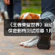 《王者荣耀世界》启动保密删档测试招募 1月20日截止!（图3）