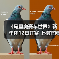 《马里奥赛车世界》新年杯12日开赛 上榜官网扬名立万(图2) 《马里奥赛车世界》新年杯12日开赛 上榜官网扬名立万(图2)