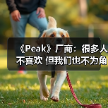《Peak》厂商：很多人不喜欢 但我们也不为角逐大奖（图1）