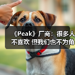 《Peak》厂商：很多人不喜欢 但我们也不为角逐大奖（图2）