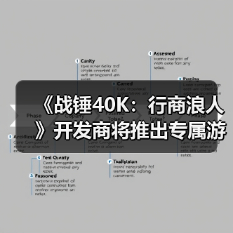 《战锤40K：行商浪人》开发商将推出专属游戏启动器（图2）