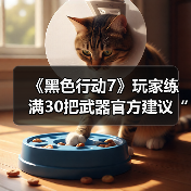 《黑色行动7》玩家练满30把武器官方建议“出门走走”（图2）