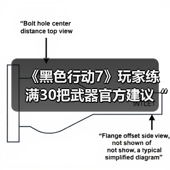 《黑色行动7》玩家练满30把武器官方建议“出门走走”（图3）