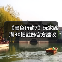 《黑色行动7》玩家练满30把武器官方建议“出门走走”（图1）