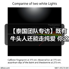 【泰国团队专访】既有牛头人还能走纯爱 你这个战棋游戏正不正经？（图1）