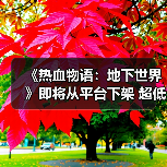 《热血物语:地下世界》即将从平台下架 超低价促销中(图3) 《热血物语:地下世界》即将从平台下架 超低价促销中(图3)