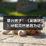 草台班子!《英雄联盟》停服竟然是因为证书到期了?(图4) 草台班子!《英雄联盟》停服竟然是因为证书到期了?(图4)