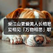 爱江山更爱美人长相思爱相见「万物相思」联动保姆级攻略（图1）