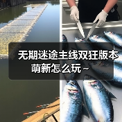 无期迷途主线双狂版本萌新怎么玩～（图2）
