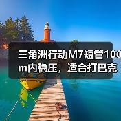 三角洲行动M7短管100m内稳压，适合打巴克什（图2）