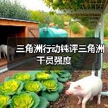 三角洲行动钝评三角洲干员强度（图3）