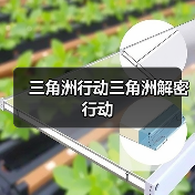 三角洲行动三角洲解密行动(图4) 三角洲行动三角洲解密行动(图4)
