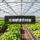 无限暖暖奇想星（图4）