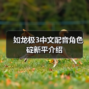 如龙极3中文配音角色碇新平介绍（图2）