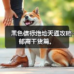 黑色信标绝地天通攻略-郁离干货篇。(图1) 黑色信标绝地天通攻略-郁离干货篇。(图1)