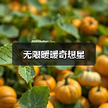 无限暖暖奇想星(图4) 无限暖暖奇想星(图4)