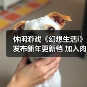 休闲游戏《幻想生活i》发布新年更新档 加入肉鸽元素（图4）