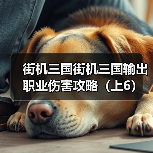 街机三国街机三国输出职业伤害攻略(上6)(图2) 街机三国街机三国输出职业伤害攻略(上6)(图2)