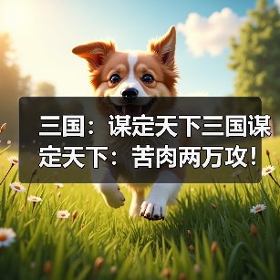 三国：谋定天下三国谋定天下：苦肉两万攻！