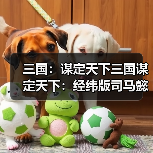 三国：谋定天下三国谋定天下：经纬版司马懿