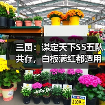 三国:谋定天下S5五队共存,白板满红都适用(图4) 三国:谋定天下S5五队共存,白板满红都适用(图4)