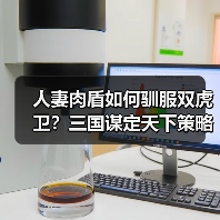 人妻肉盾如何驯服双虎卫?三国谋定天下策略解析(图4) 人妻肉盾如何驯服双虎卫?三国谋定天下策略解析(图4)