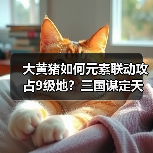 大黄猪如何元素联动攻占9级地？三国谋定天下阵容搭配全解析（图2）