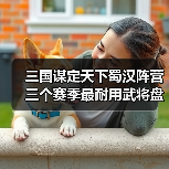 三国谋定天下蜀汉阵营三个赛季最耐用武将盘点:谁才是核心?(图4) 三国谋定天下蜀汉阵营三个赛季最耐用武将盘点:谁才是核心?(图4)