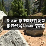 Steam修正软硬件调查报告数据 Lin