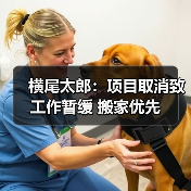 横尾太郎:项目取消致工作暂缓 搬家优先(图4) 横尾太郎:项目取消致工作暂缓 搬家优先(图4)